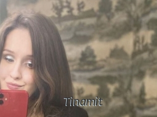 Tinamit