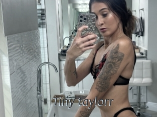 Tiny_taylorr
