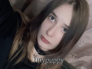 Tinypuppy