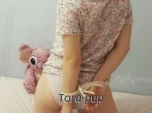 Tora_pup