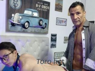 Toro_hot