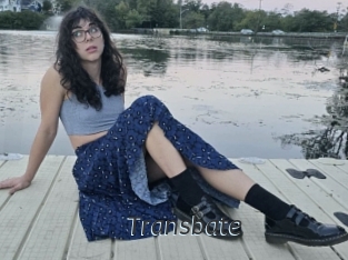transbate Ligne Rose