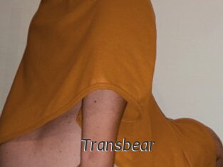 Transbear
