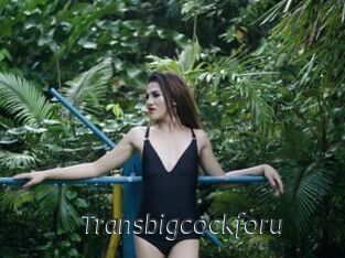 Transbigcockforu