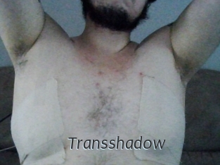 Transshadow