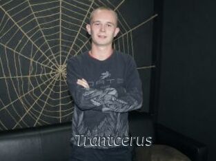 Trantcerus
