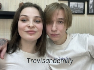 Trevisandemily