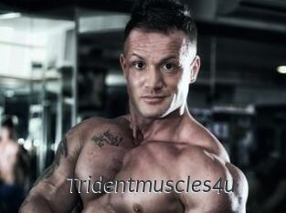 Tridentmuscles4u