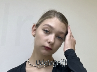 Udelegriff