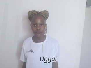 Uggal