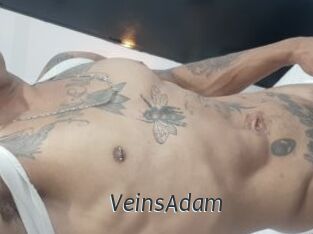 VeinsAdam