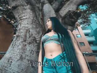 Venus_Walton