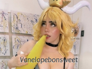 Vanelopebonsweet