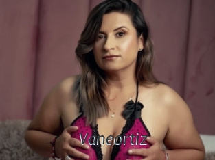 Vaneortiz