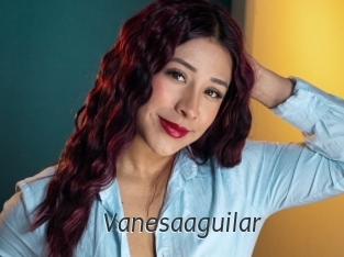 Vanesaaguilar