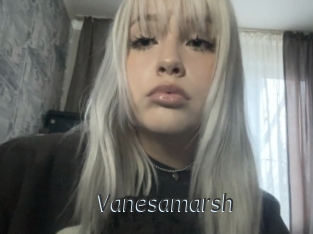 Vanesamarsh
