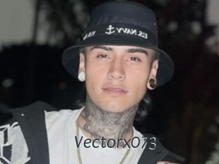 Vectorx073