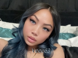 veee63 Ligne Rose
