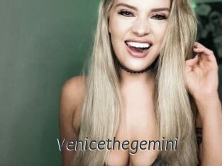 Venicethegemini
