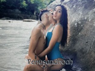 Venusandnoah