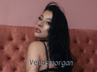 Venusmorgan