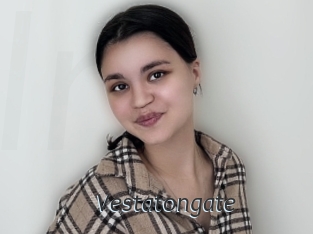Vestatongate