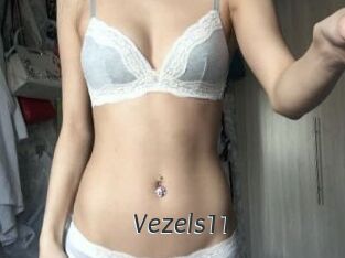 Vezels11