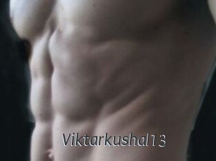 Viktarkushal13