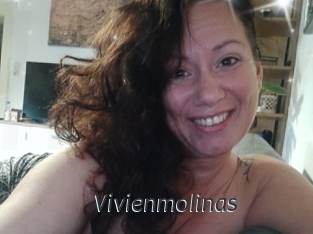 Vivienmolinas