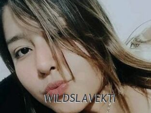 WILDSLAVEKTI