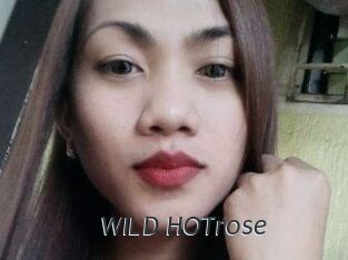 WILD_HOTrose