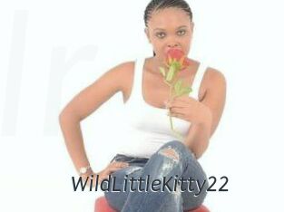 WildLittleKitty22