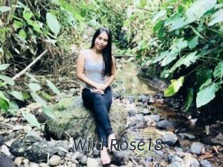 Wild_Rose18