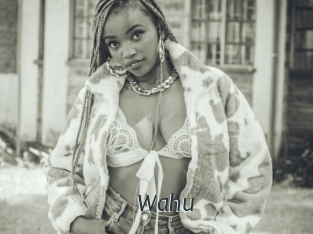 Wahu