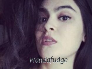 Wandafudge