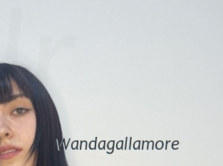 Wandagallamore