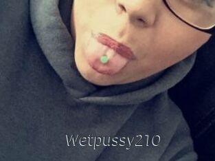 Wetpussy210