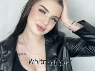 Whitneyfugler