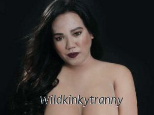 Wildkinkytranny