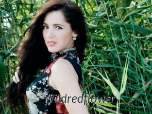 Wildredflower