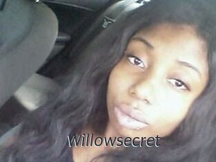 Willow_secret