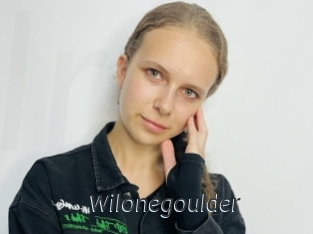 Wilonegoulder