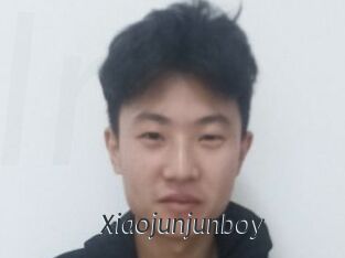 Xiaojunjunboy
