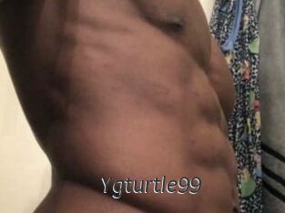 Ygturtle99