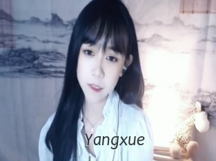 yangxue Ligne Rose