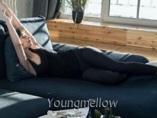 Youngmellow