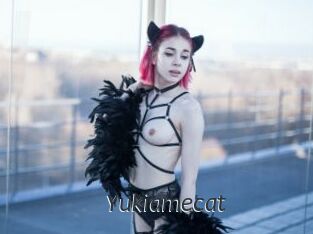 Yukiamecat