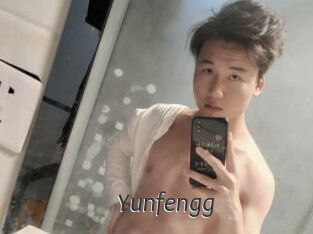 Yunfengg
