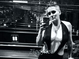 ZiggyRed