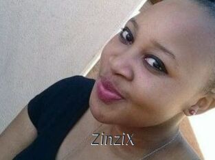 ZinziX